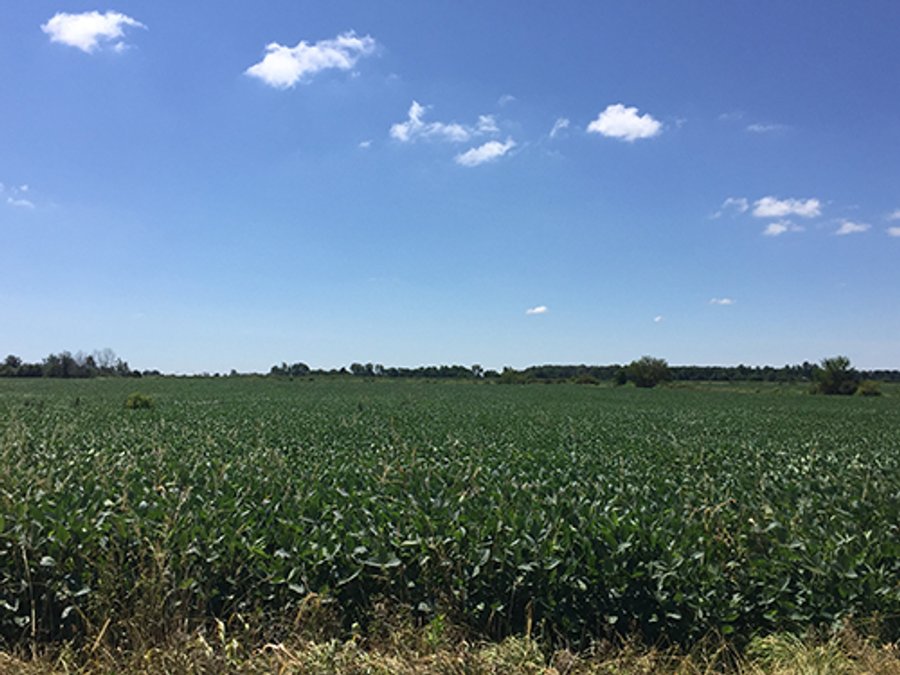 LAND AUCTION, 103+/- Acres offered in 2 Tracts in Randolph County